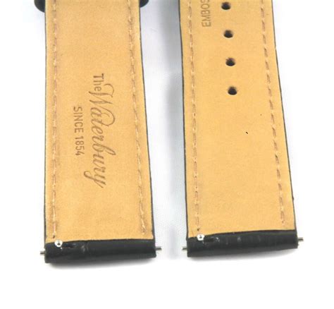 timex cinturino ricambio